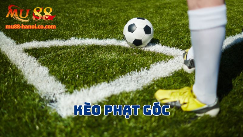 Kèo phạt góc là dạng kèo khá vui