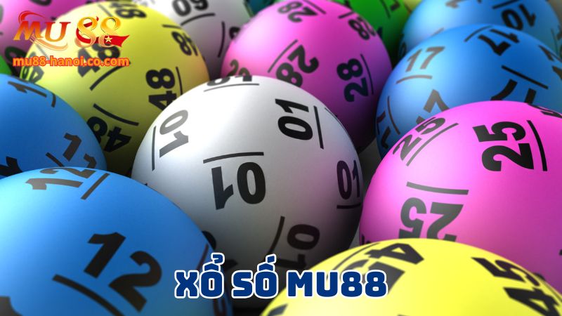Thông tin về cổng xổ số