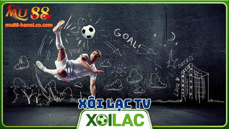 Xôi Lạc TV là nơi cung cấp trực tiếp bóng đá chất lượng cao